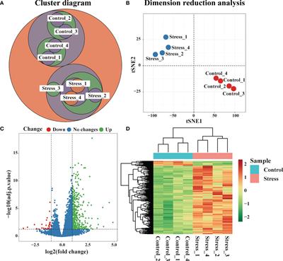 Acute stress induces an inflammation dominated by innate immunity represented by neutrophils in mice